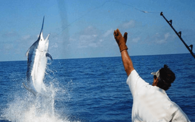 Fishing Trips Mauritius